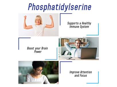 Phosphatidylserine Supplement Benefits